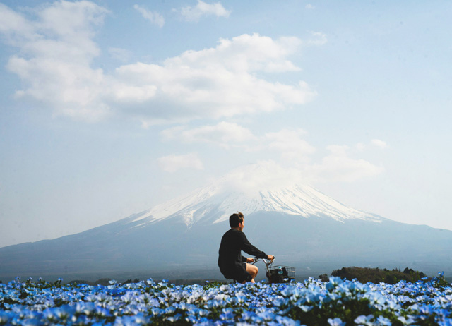 header imagen